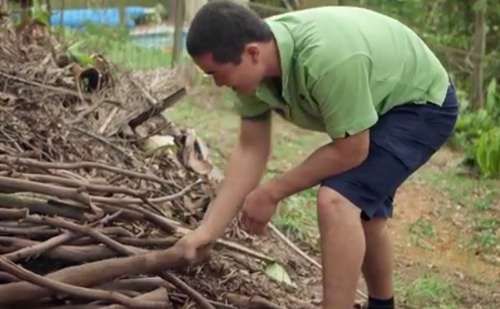 Inspecting outdoor debris, stumps and gardens for termite activity.