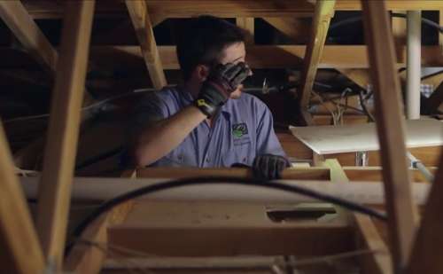 Termite specialist checking the roof for termites.