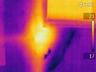 Thermal Image of Termite Nest