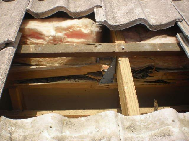 Termite Treatment - Calamvale