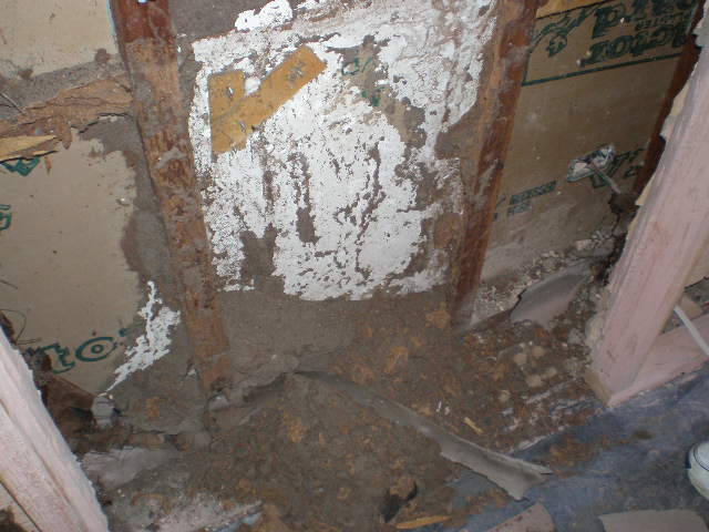 Termite wall damage Underwood, South Brisbane